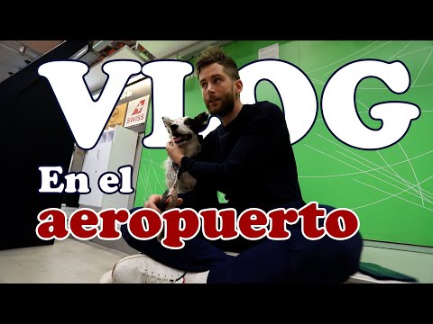 TRAVELING WITH A DOG THE PLANE HOLDER: My flight Paris - Madrid!
