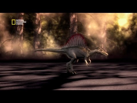 Le spinosaure un mystère  scientifique