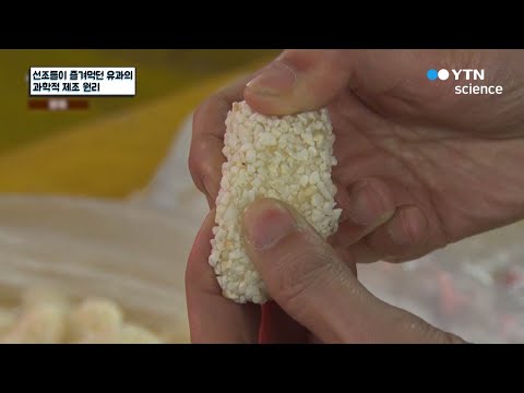 선조들이 즐겨먹던 유과의 과학적 제조 원리 / YTN 사이언스