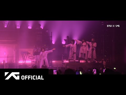 AKMU - '멸종위기사랑, 파노라마, 사람들이 움직이는 게, BENCH' LIVE CLIP l 2025 [악동들]