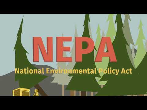 Understanding Environmental Law