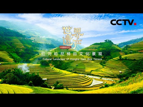《中国微名片——世界遗产》（第一季 ）第七集 令人叹为观止的数千级梯田随季节变换着迷人色彩！如此令人心动的风景如何形成？【CCTV纪录】