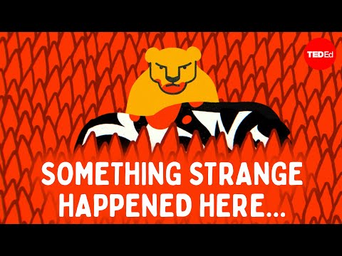 Can you figure out the savanna mystery? - Cella Wright