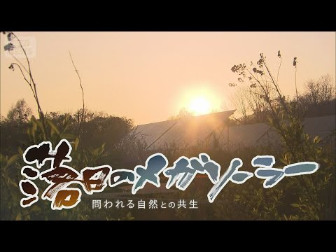 メガソーラーと自然は共生できるのか　希少生物が脅かされている現実…釧路湿原からエネルギーの未来を問う【テレメンタリー】
