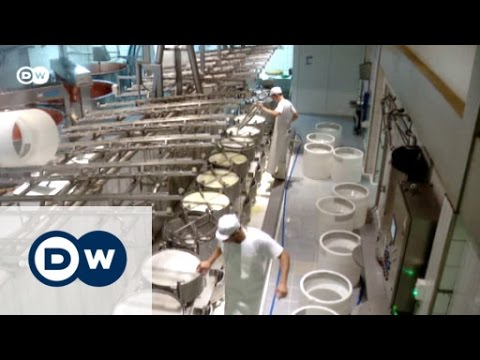 Schweizer Käse: Le Gruyère | Euromaxx