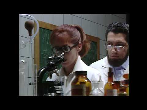 [DVD] Les nuls L'integrule II professeur thibault