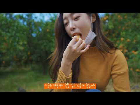 감귤국, 제주로 떠나요!