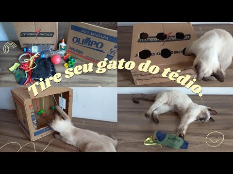 HOW TO MAKE CAT TOYS WITHOUT SPENDING ANYTHING - Ana Ferreira ✨️