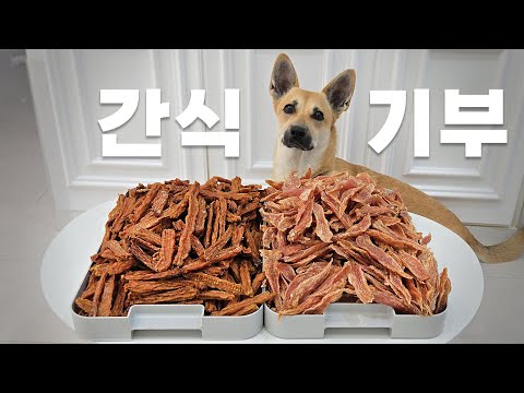 간식 기부하러 갔다가 강아지를 데려오게됐어요