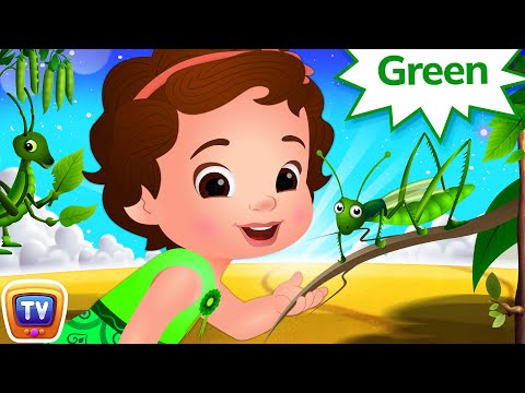 The Colors Song - Green 🦜 Learning Colors for Kids | ChuChu TV Nursery Rhymes for Infants